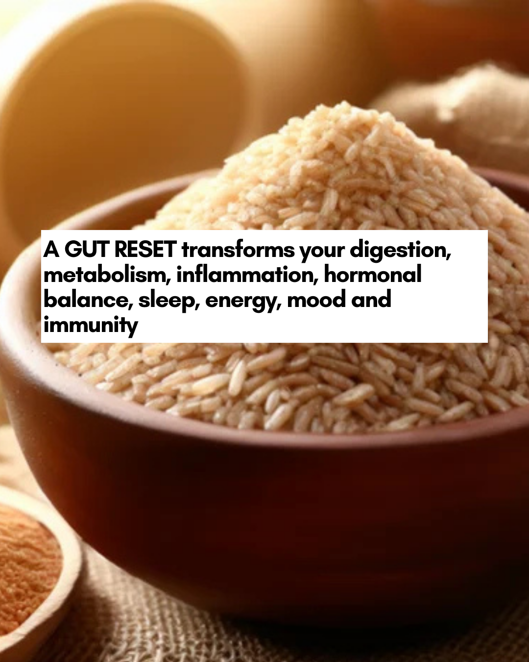 Gut Reset Bundle - comes with a free pdf! - Eat Breathe Smile