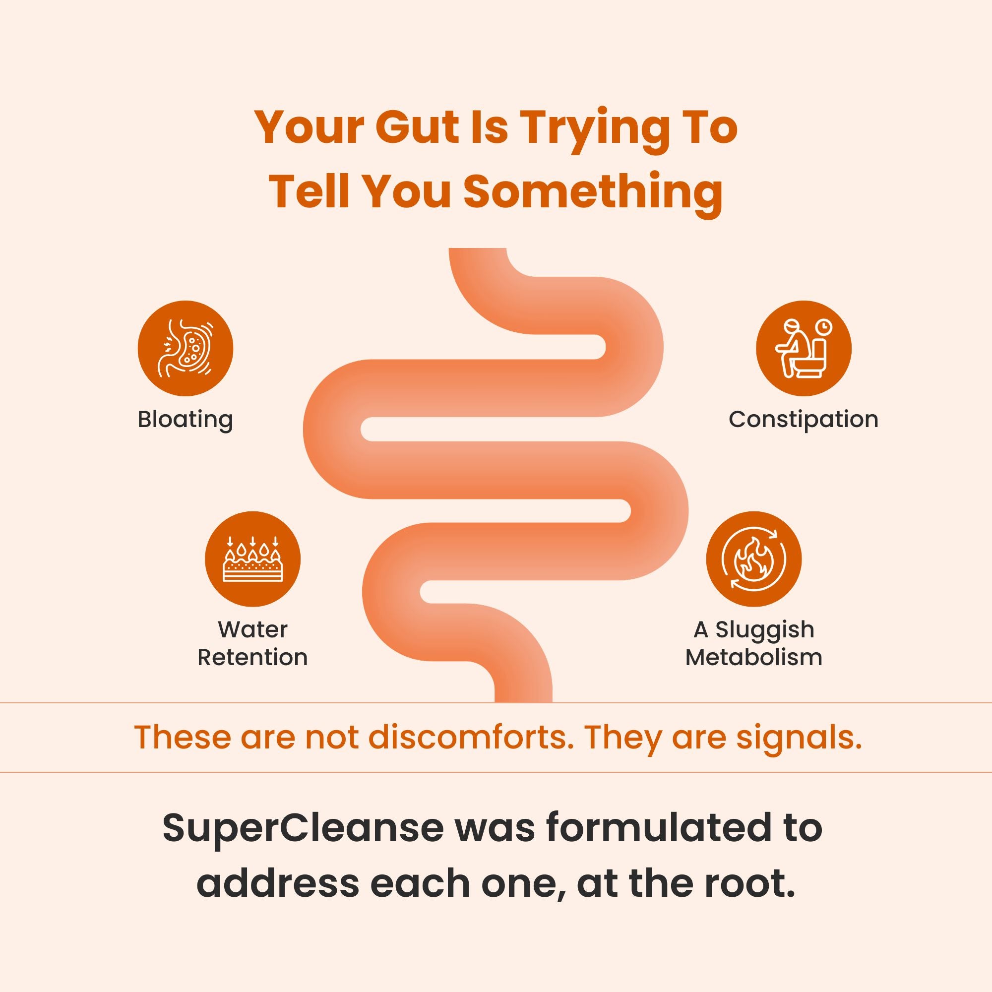 Super Cleanse 💥 - SUPER GUT