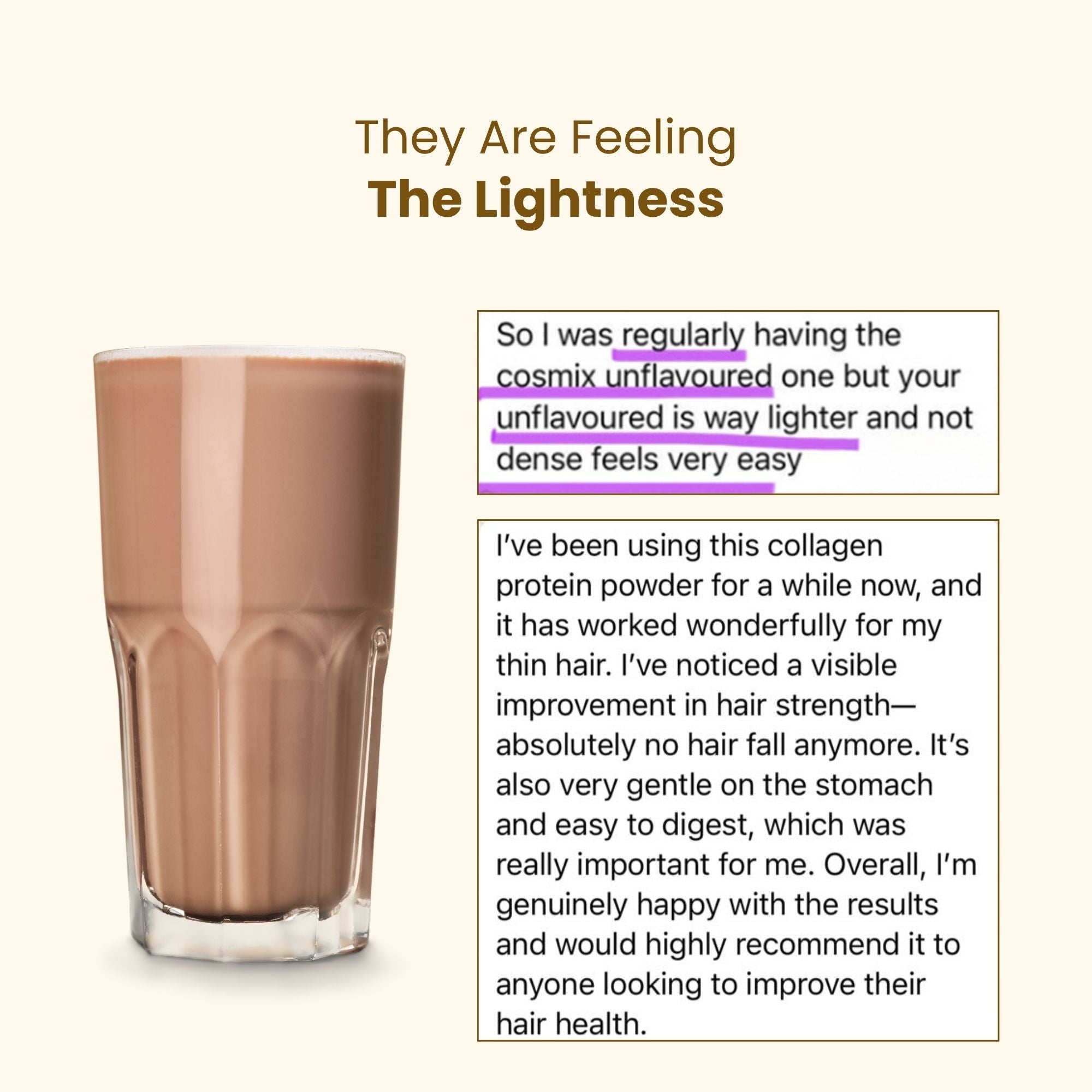 DAILY PRO-GUT Vegan Protein Collagen (Chocolate)