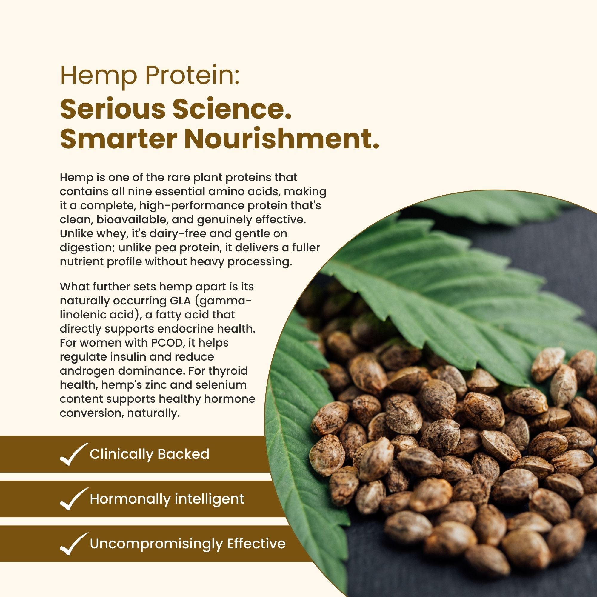 DAILY PRO-GUT Vegan Protein Collagen (Chocolate)