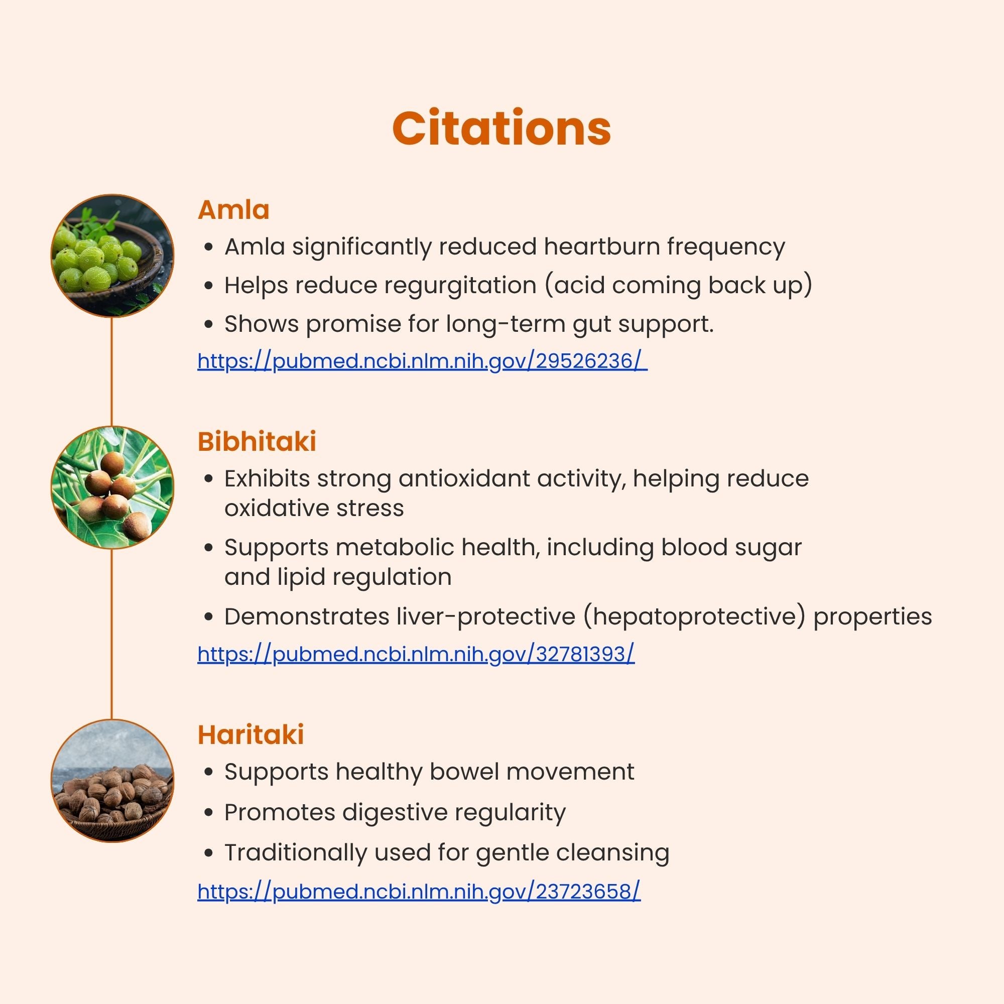 Super Cleanse 💥 - SUPER GUT