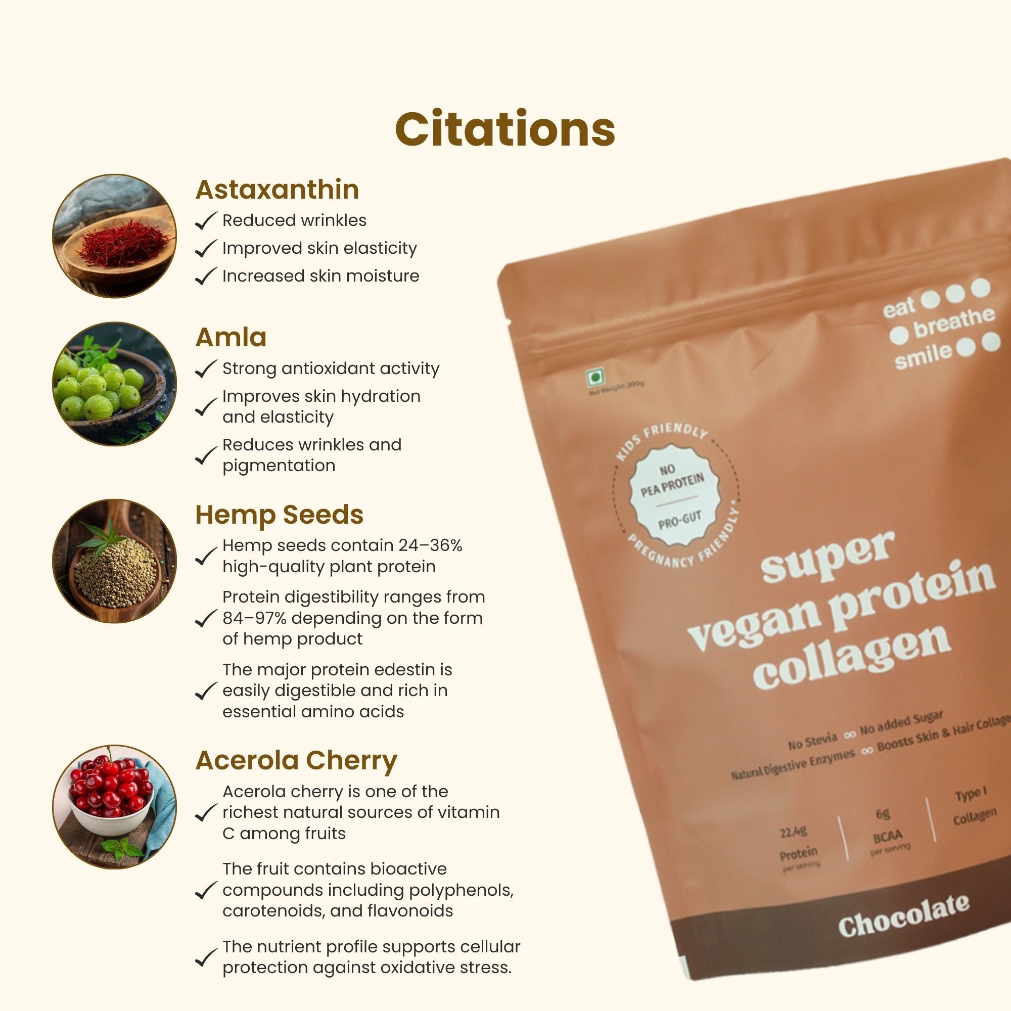 DAILY PRO-GUT Vegan Protein Collagen (Chocolate)