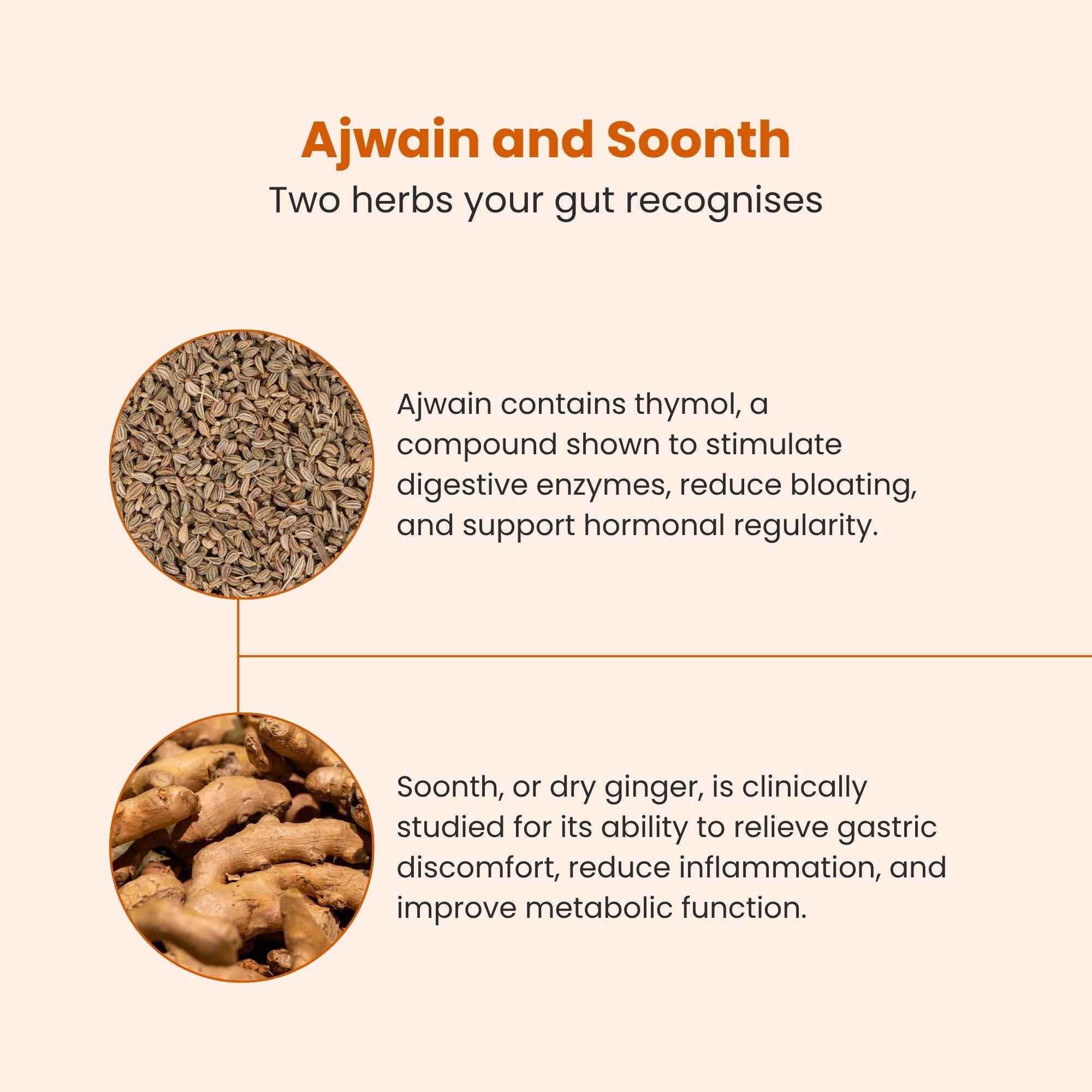 Super Cleanse 💥 - SUPER GUT