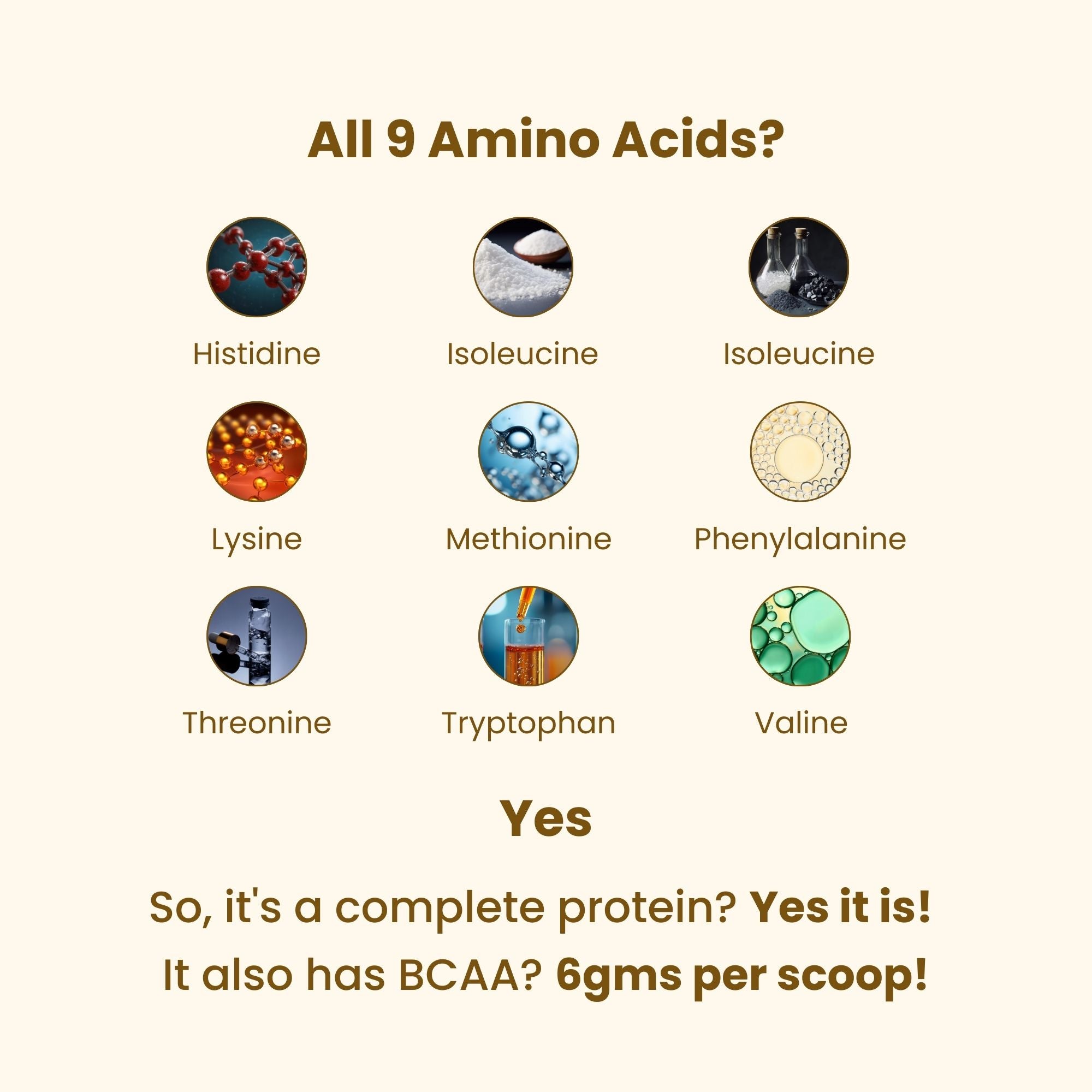 DAILY PRO-GUT Vegan Protein Collagen (Chocolate)