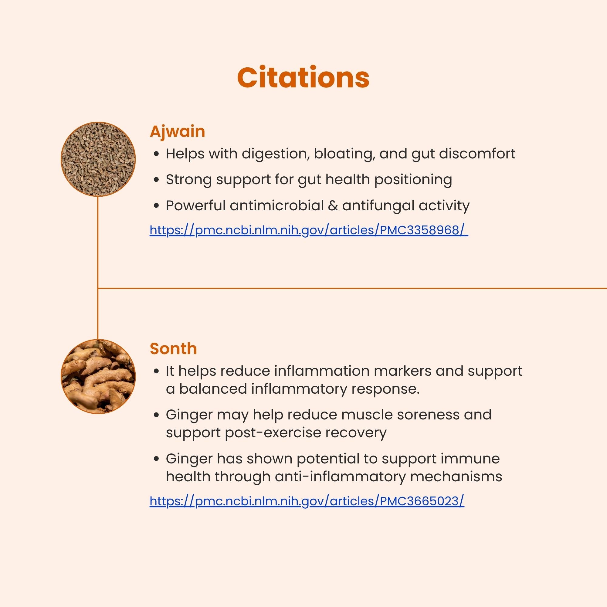 Super Cleanse 💥 - SUPER GUT