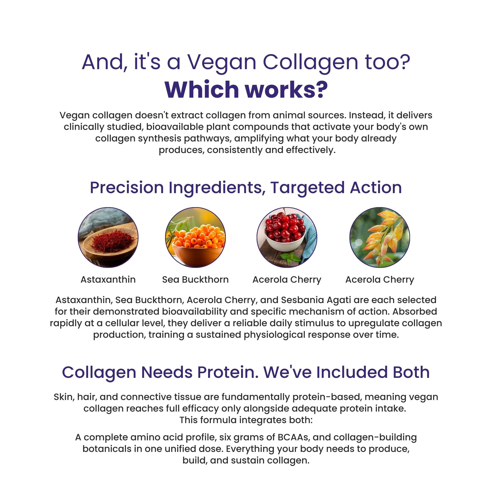 DAILY PRO-GUT Vegan Protein Collagen