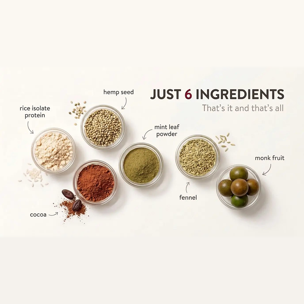 Super Plant Protein (Chocolate)