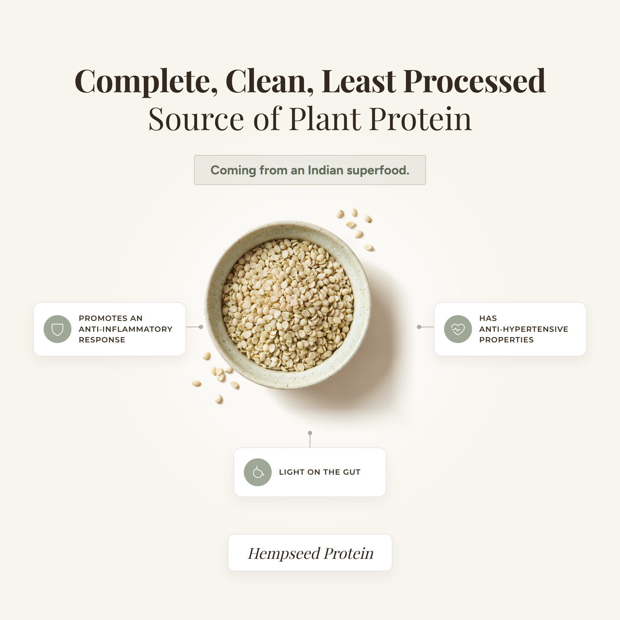 Super Plant Protein (Chocolate)