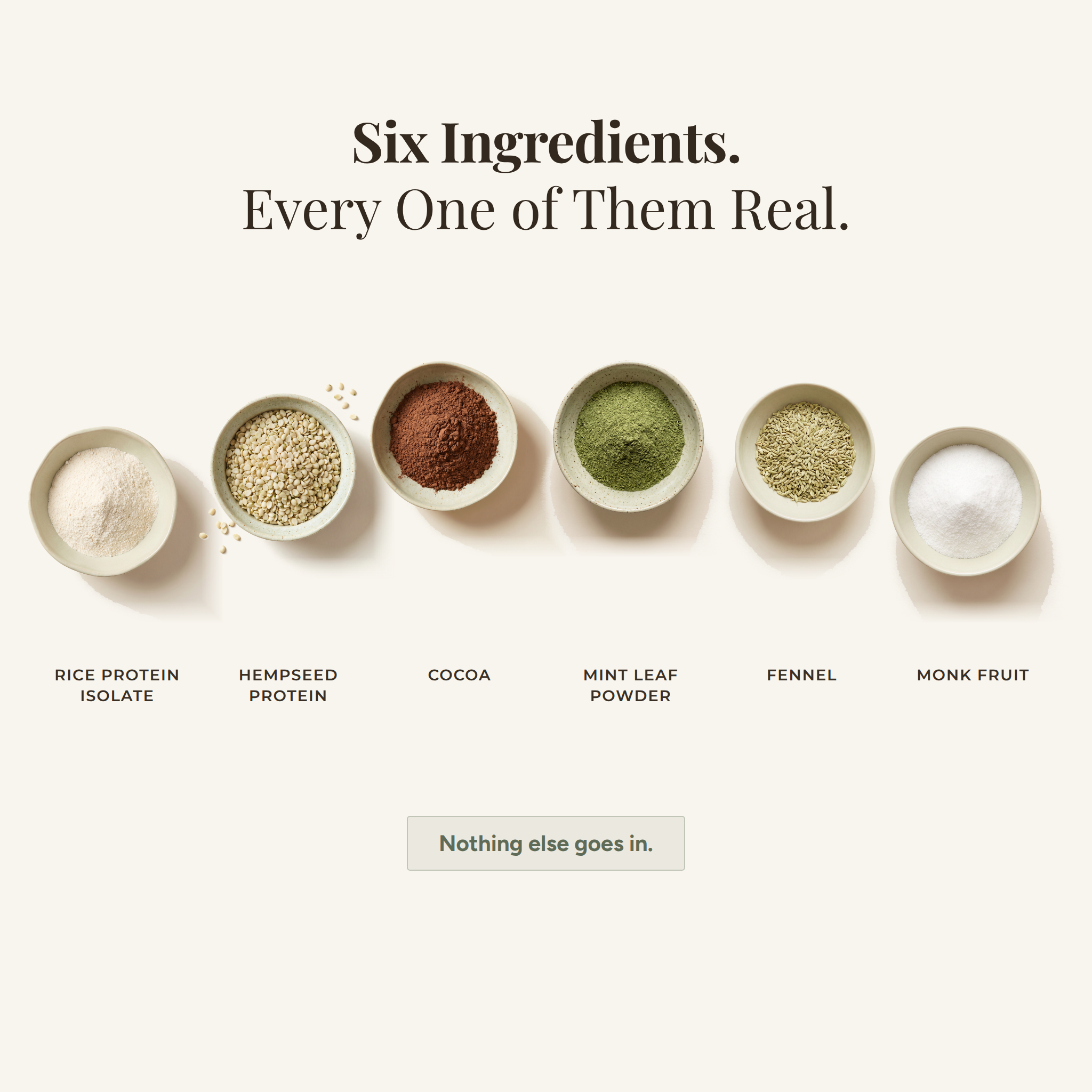 Super Plant Protein (Chocolate)
