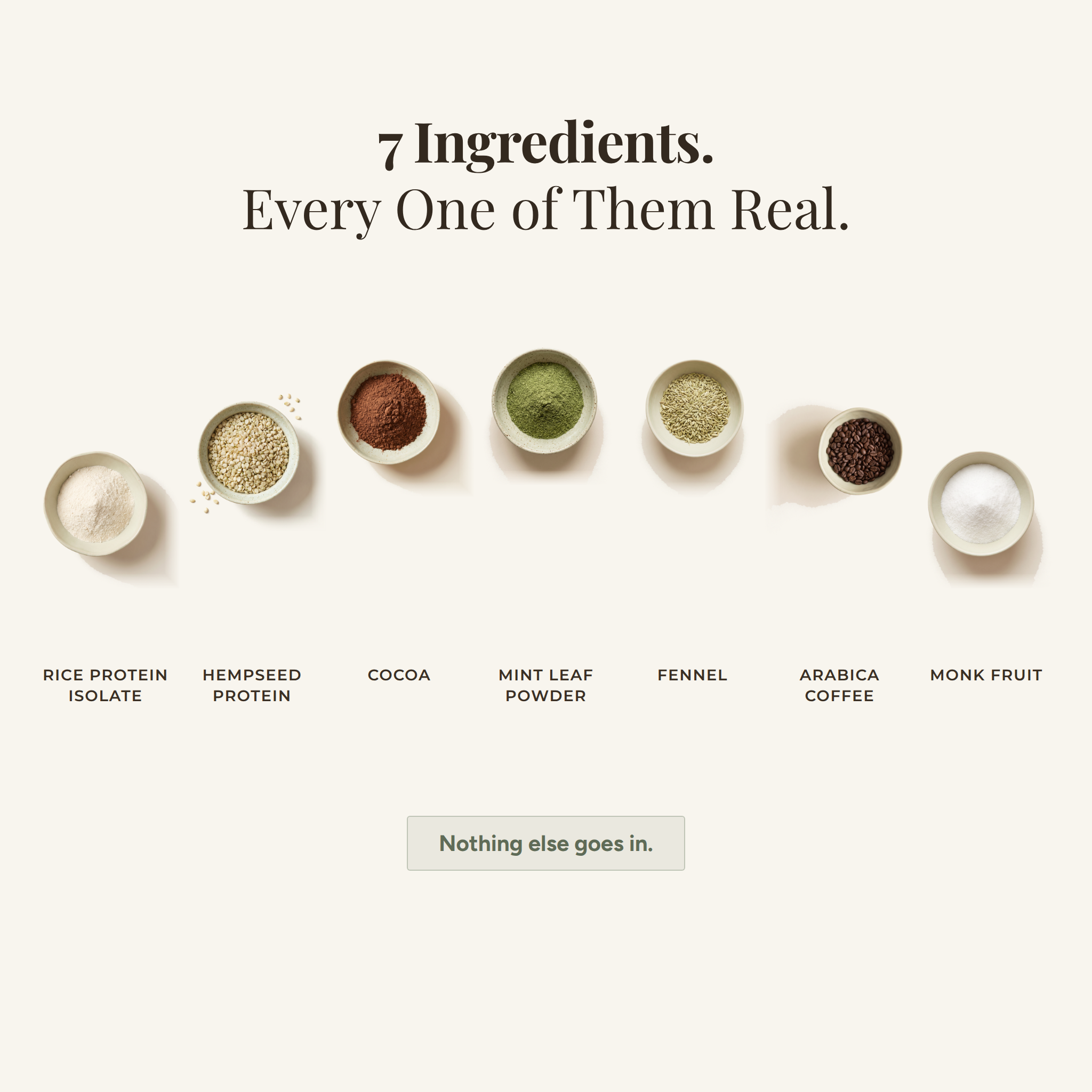 Super Plant Protein (Mocha)
