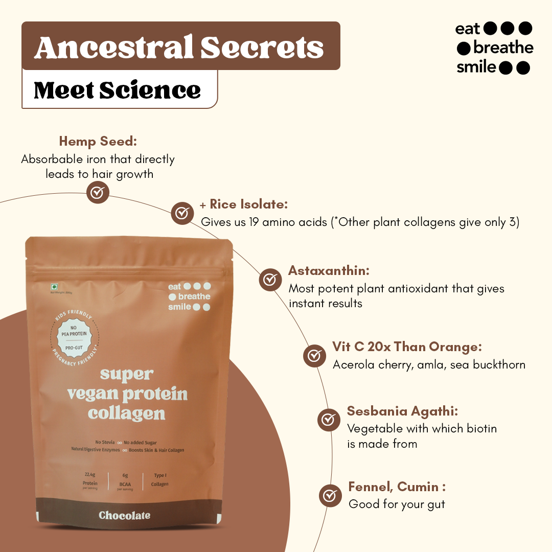 PRO-GUT Vegan Protein Collagen (Chocolate)