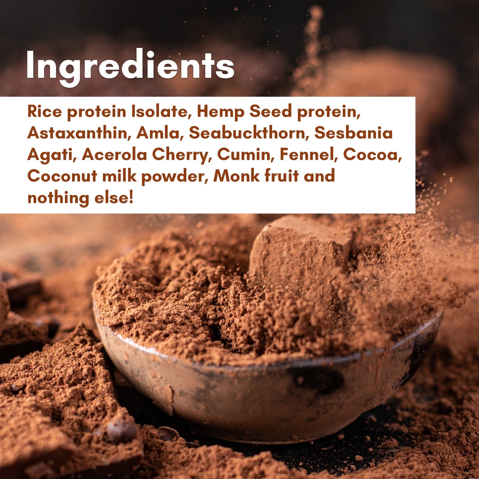 DAILY PRO-GUT Vegan Protein Collagen (Chocolate)